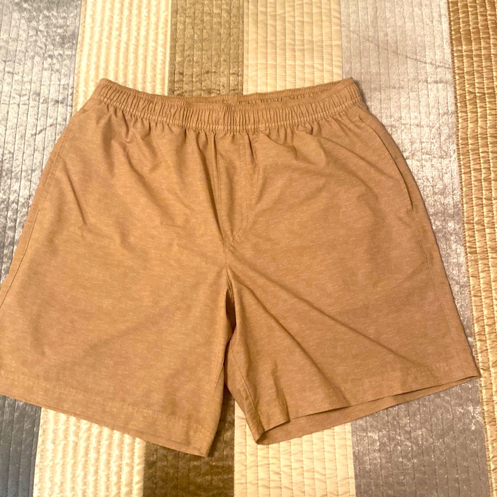 Chubbies Shorts
